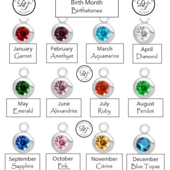 Best Friend Paw and Bone with Birthstone Dangle - CUSTOMIZABLE - Picture 5 of 6